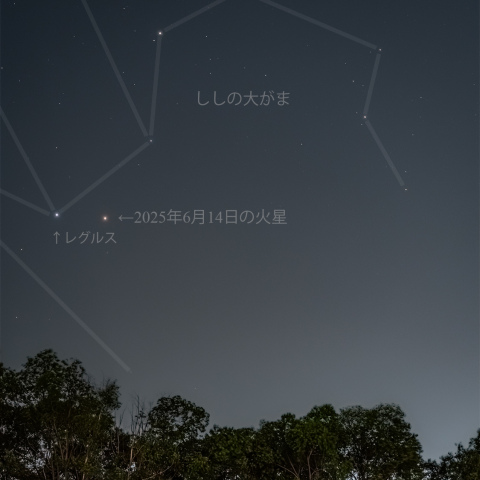 レグルスに近づいた火星(2025/06/14)