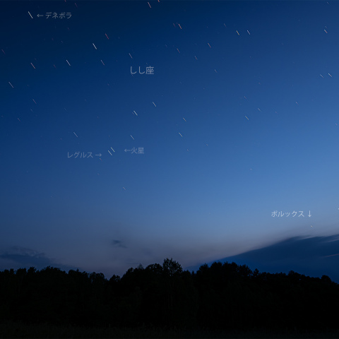 薄明のしし座と火星(2025/06/17)