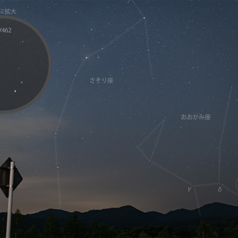 おおかみ座の新星V462 Lup(2025/06/24)