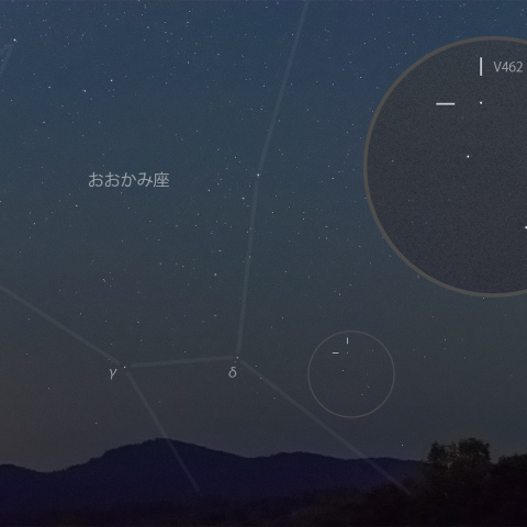 おおかみ座の新星V462 Lup(2025/06/24)
