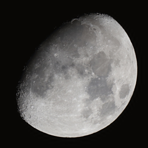 goto dob12 による月2