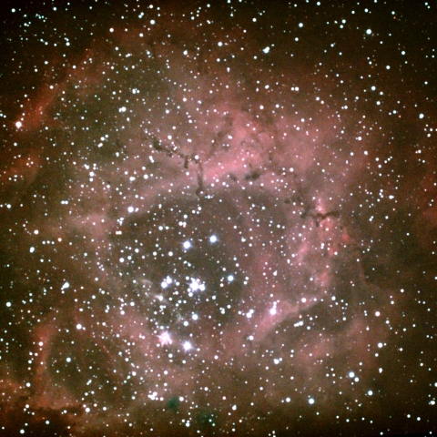 goto dob12 によるばら星雲