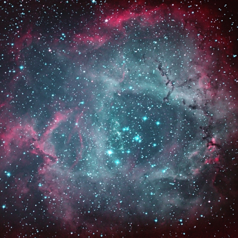 goto dob12 によるばら星雲2