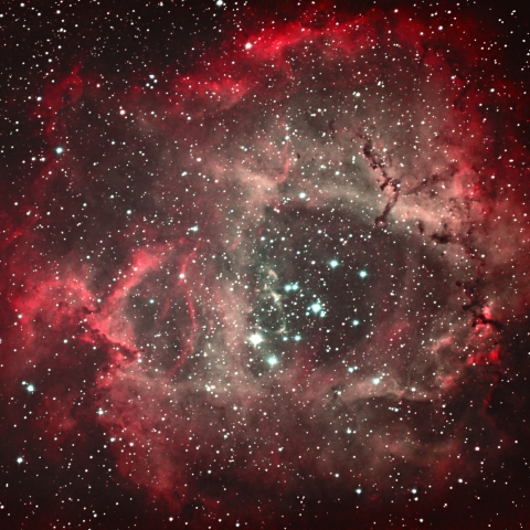 goto dob12 によるばら星雲3（再処理）