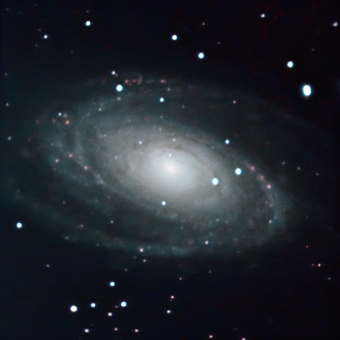 GOTO DOBによるM81