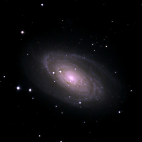 GOTO DOBによるM81