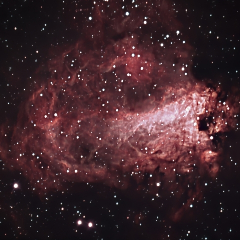 GOTO DOBによるM17