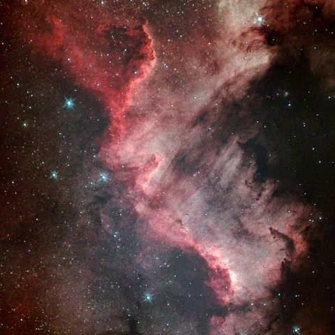 GOTO DOBによるシグナスウォール