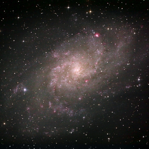 GOTO DOBによるM33