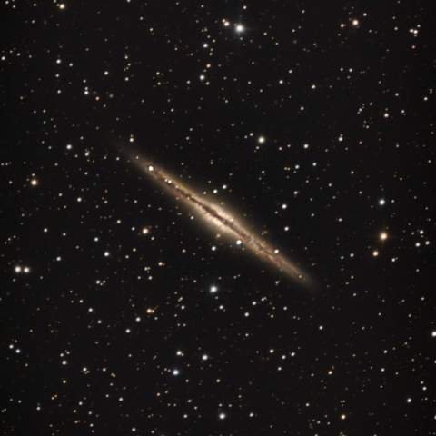 GOTO DOBによるNGC891