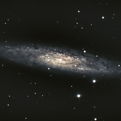 GOTO DOBによるNGC253