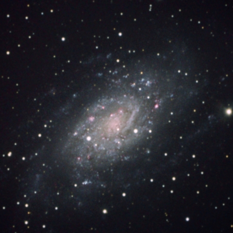 GOTO DOBによるNGC2403