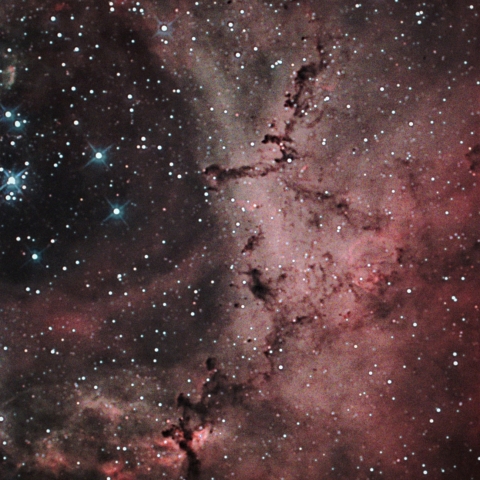 GOTO DOBによるばら星雲拡大