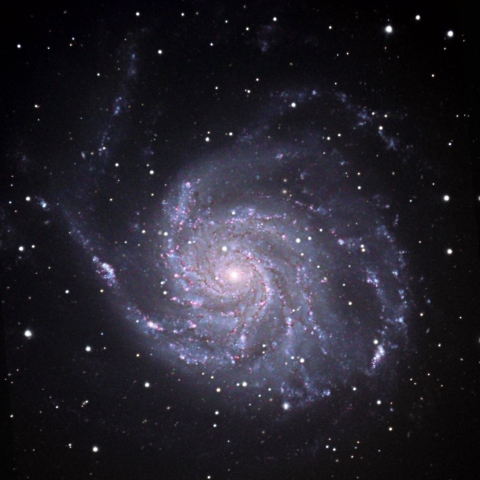 M101