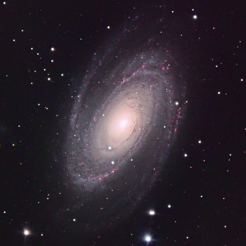 M81