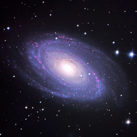 M81