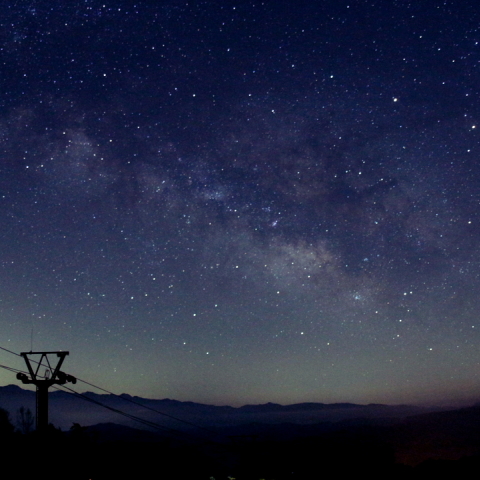 病の友に捧ぐ一枚