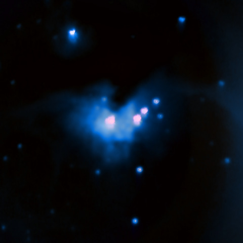 昨日のオリオン座大星雲