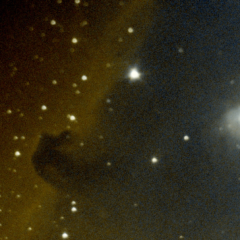 ラッキーイメージング撮影した馬頭星雲