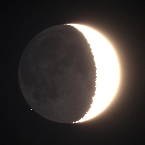 いて座11番星の食