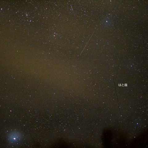 はと座と流星