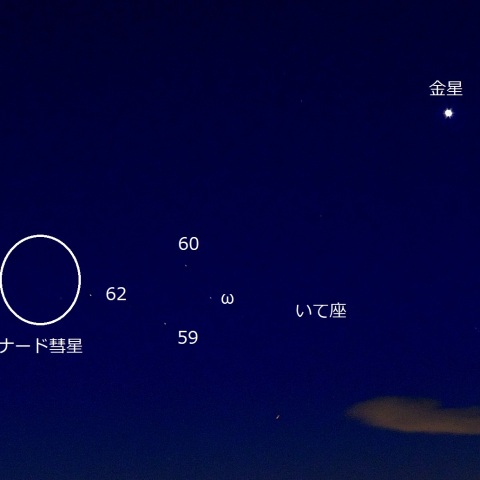 レナード彗星（2021/12/19）