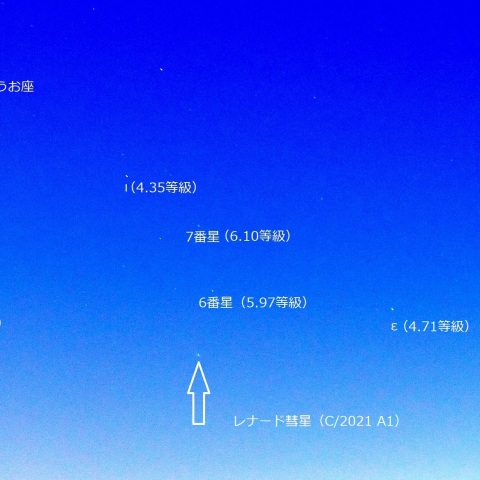 レナード彗星（2021/12/30）