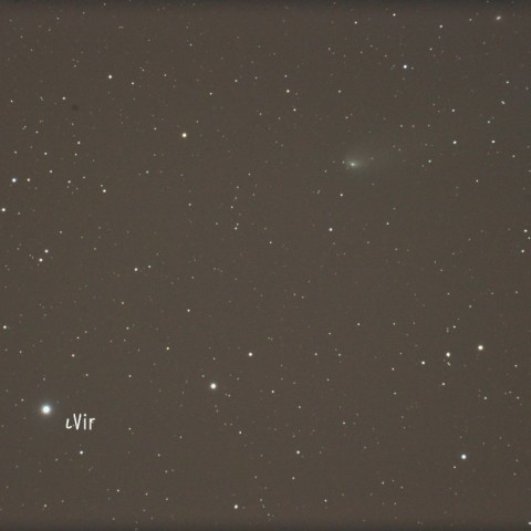 ウィルド第2周期彗星（81P）