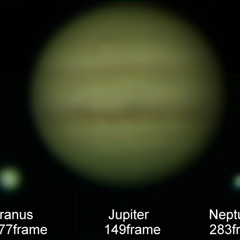 木・天・海大きさ比べ