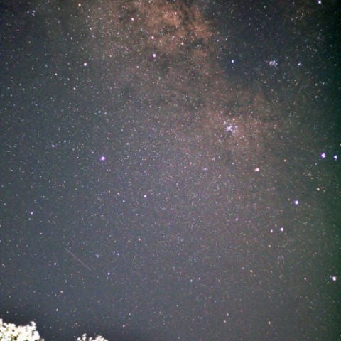 桜の上の天の川
