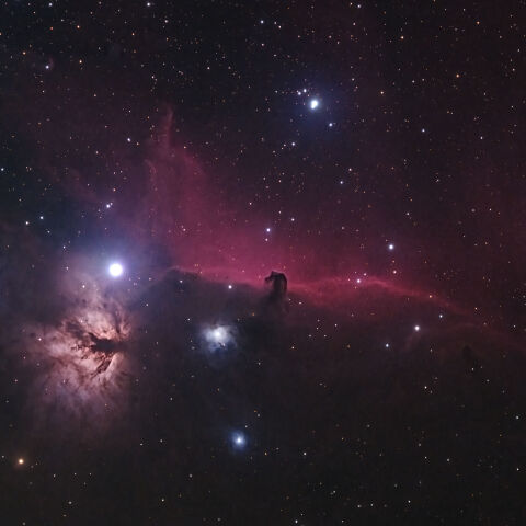 IC434 馬頭星雲（オリオン座）