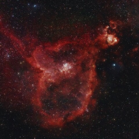 IC1805 ハート星雲（カシオペア座）