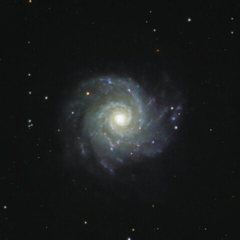 M74 うお座の銀河（うお座）
