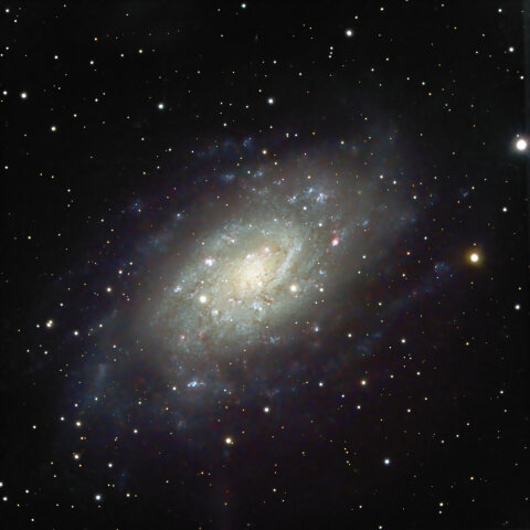 NGC2403 きりん座の銀河（きりん座）
