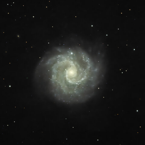 NGC3184 おおぐま座の銀河(おおぐま座)