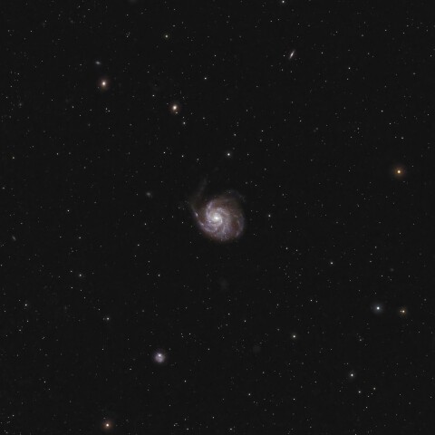 M101 回転花火銀河の周辺（おおぐま座）