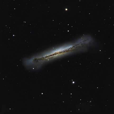 NGC3628 ハンバーガー銀河（しし座）