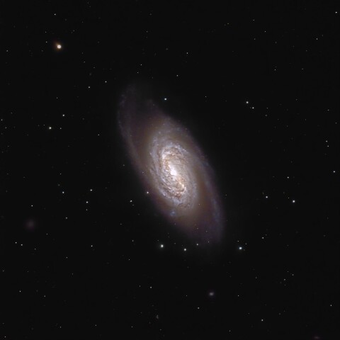 NGC2903 しし座の肉丸さん（しし座）