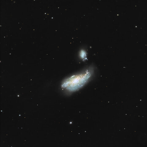 NGC4490 まゆ銀河(りょうけん座)