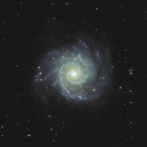M74 NGC628 うお座の銀河（うお座）