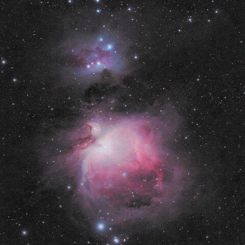 M42 オリオン大星雲（オリオン座）