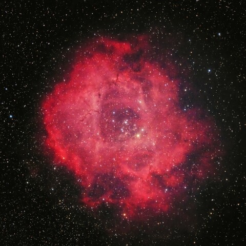 ばら星雲（いっかくじゅう座）