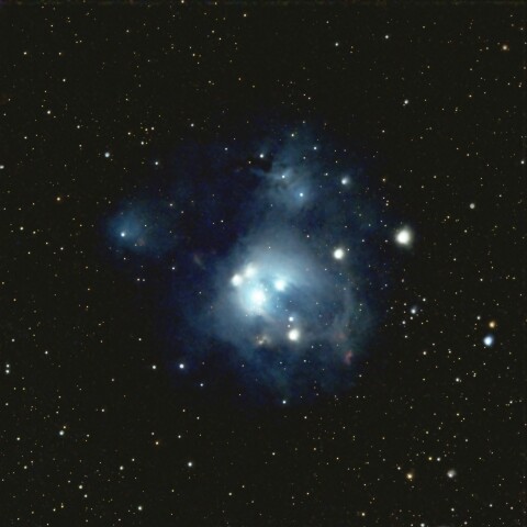 NGC7129 バラのつぼみ星雲（ケフェウス座）