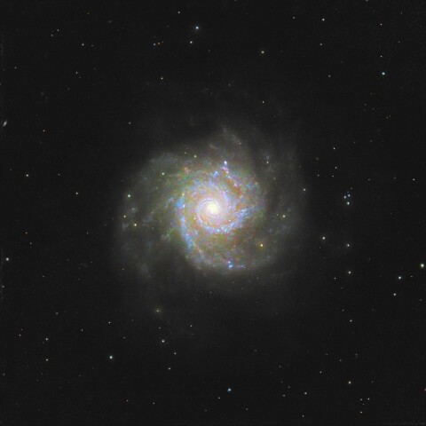 M74 NGC628 うお座の銀河(うお座)