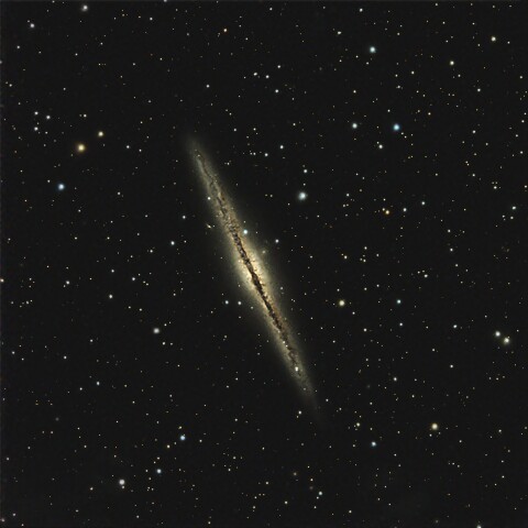 NGC891 アンドロメダ座エッジオン銀河（アンドロメダ座）