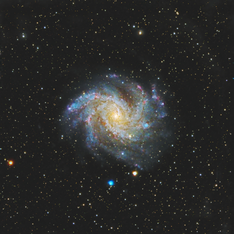 NGC6946 花火銀河（はくちょう座）