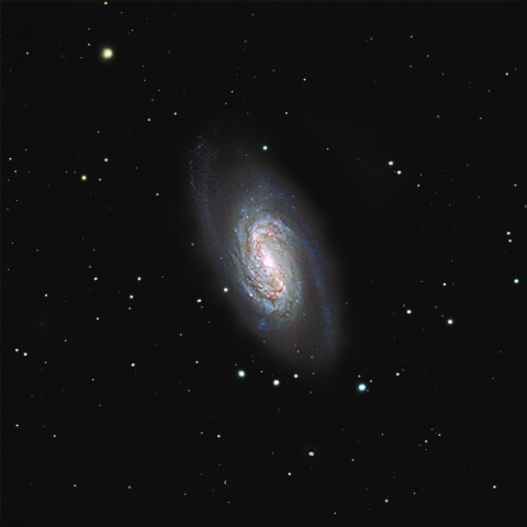 NGC2903 しし座の肉丸さん(しし座)