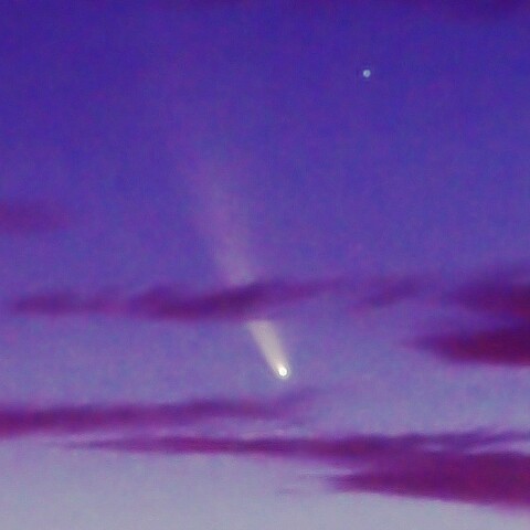 薄明のネオワイズ彗星