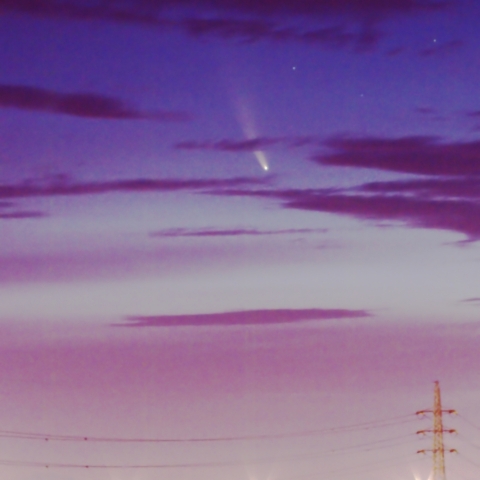 薄明のネオワイズ彗星