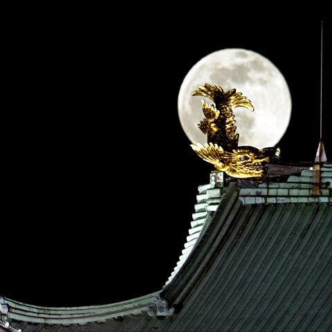 2020-12-30 コールドムーンと金鯱